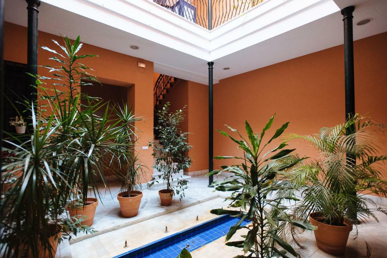 Appartement New De Dios *